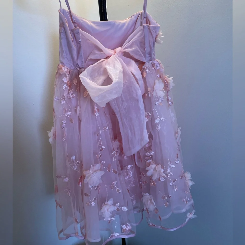 Windsor Pink Chiffon Babydoll Dress - Picture 5 of 6